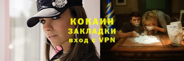 МДПВ Дмитриев