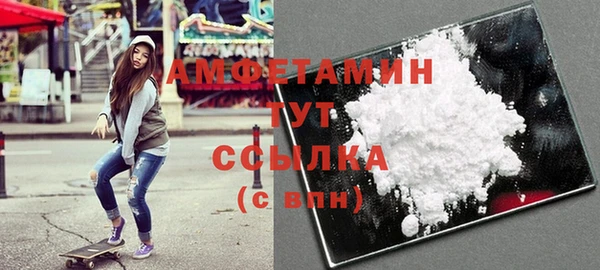 МДПВ Дмитриев