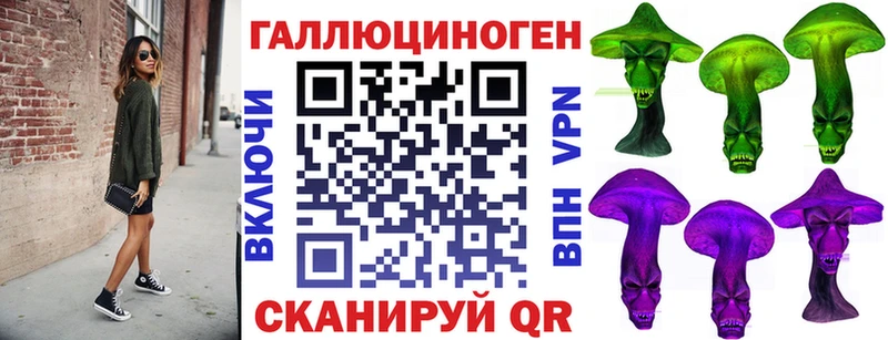 Купить закладки  Шимановск  Псилоцибиновые грибы Magic Shrooms 