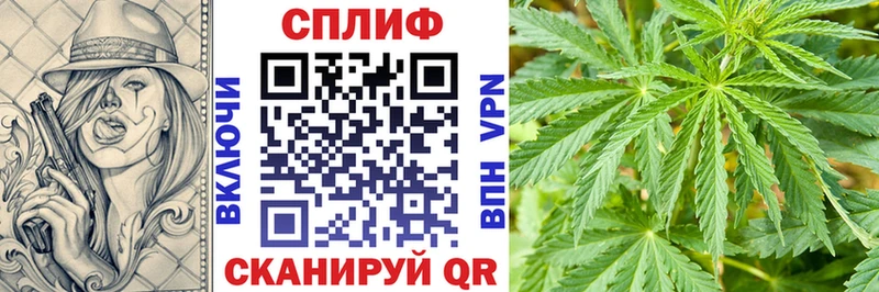 Шишки марихуана индика  Купить закладки  Шимановск 